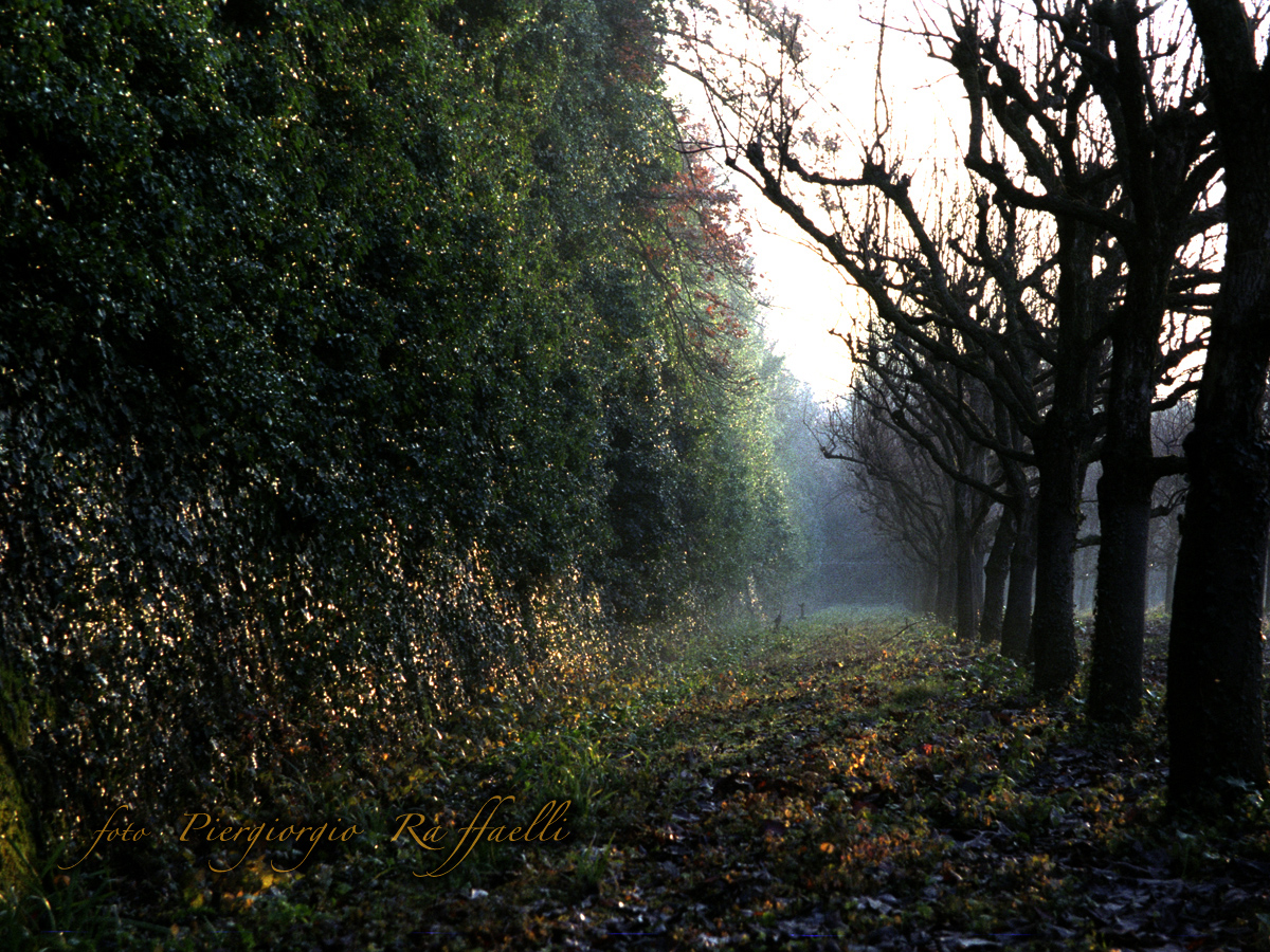 mura inverno2