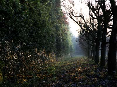 mura inverno2
