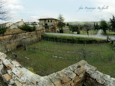 mura zig zag 