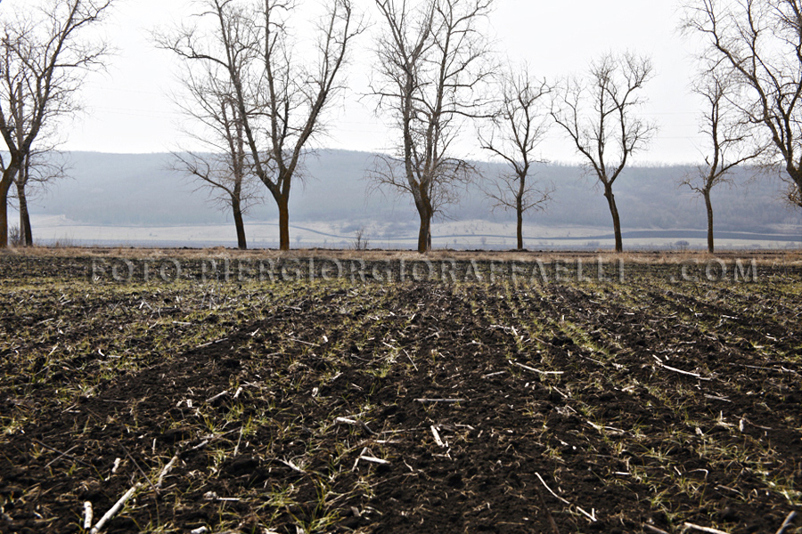 05TRANSNISTRIA
