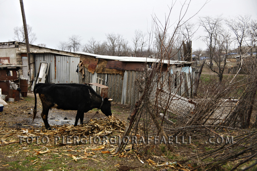 17TRANSNISTRIA
