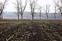 05TRANSNISTRIA