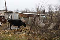 17TRANSNISTRIA